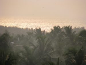 View of Beach from the Flat